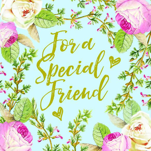 Picture of SPECIAL FRIEND BIRTHDAY CARD
